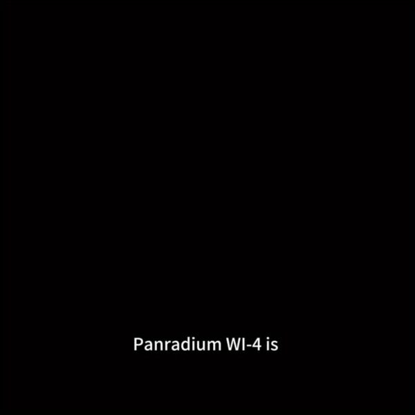 PELADN WI-4 Mini PC, 11th Gen N5095 - Image 11